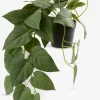 New ANDERSENPlanta artificial ANDERSEN L43cm colgante Plantas Artificiales