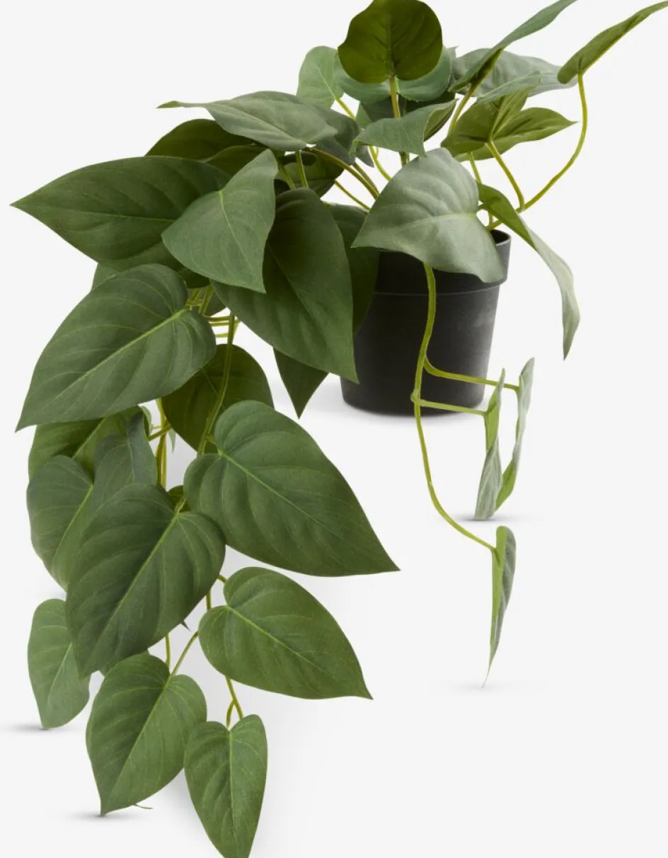 New ANDERSENPlanta artificial ANDERSEN L43cm colgante Plantas Artificiales