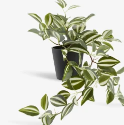 Hot ASGARPlanta artificial ASGAR A48cm colgante Plantas Artificiales
