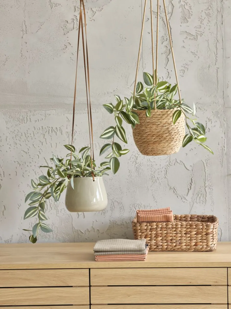 Hot ASGARPlanta artificial ASGAR A48cm colgante Plantas Artificiales