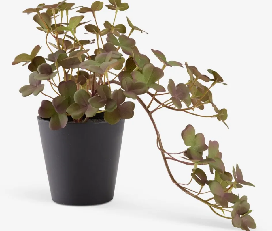 Sale BERGURPlanta artificial BERGUR L21cm colgante Plantas Artificiales
