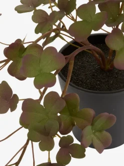 Sale BERGURPlanta artificial BERGUR L21cm colgante Plantas Artificiales