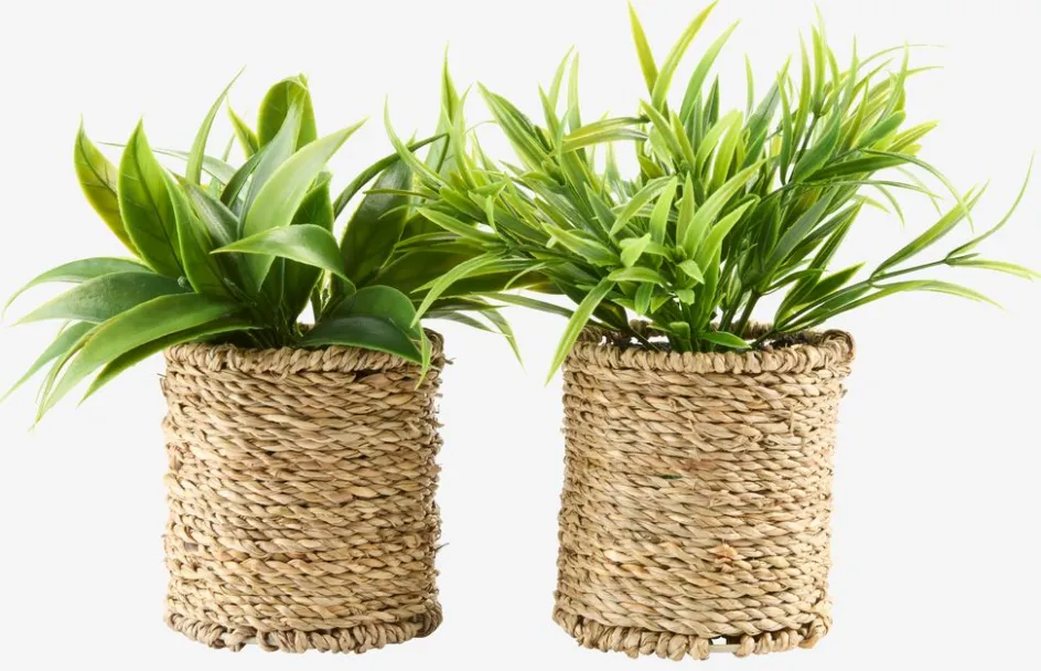 Best BERTRAMPlanta artificial BERTRAM Ø8xA18cm variado Plantas Artificiales