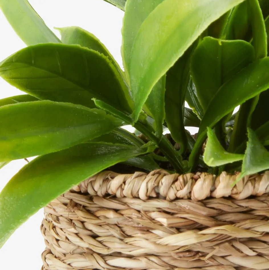 Best BERTRAMPlanta artificial BERTRAM Ø8xA18cm variado Plantas Artificiales