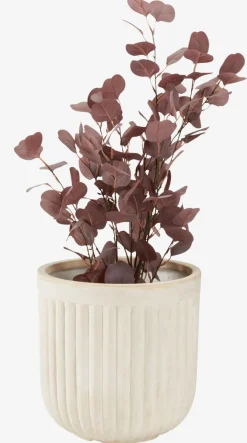 Clearance BRILLEANDMacetero BRILLEAND Ø29xA29 natural Maceteros