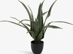 Best CELIUSPlanta artificial CELIUS A65cm aloe vera Plantas Artificiales
