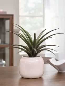 Clearance FREIDIGPlanta artificial FREIDIG Ø36xA32cm con maceta Plantas Artificiales