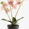 Outlet GUDJONPlanta artificial GUDJON A35cm orquídea rosa Plantas Artificiales
