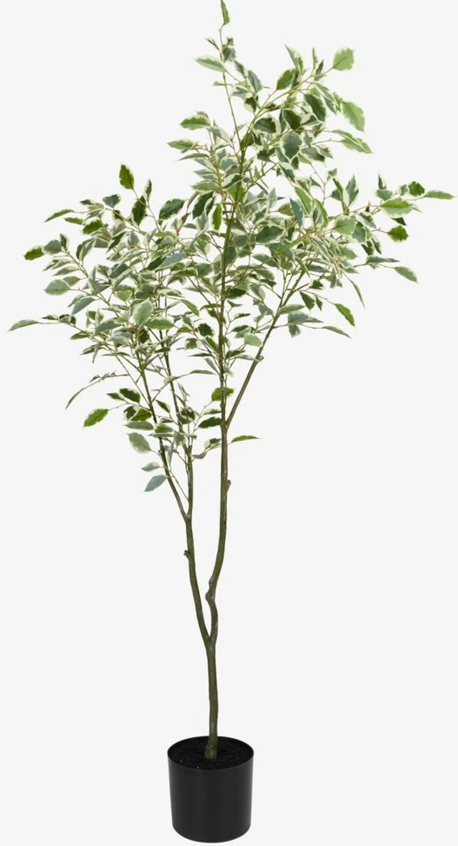 Clearance GUNNULFPlanta artificial GUNNULF A150cm con maceta Plantas Artificiales
