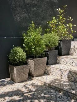 Clearance ISLOMCesto de jardín ISLOM 31x31x32 Maceteros