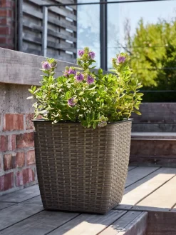 Clearance ISLOMCesto de jardín ISLOM 31x31x32 Maceteros
