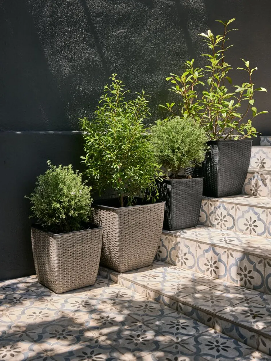 Best ISLOMCesto de jardín ISLOM 38x38x39 Maceteros