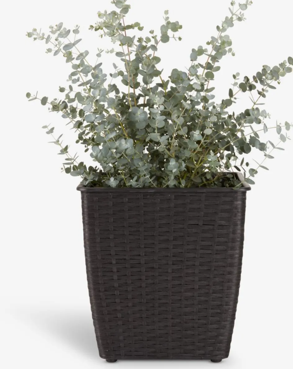 Outlet ISLOMCesto de jardín ISLOM 31x31x32 variado Maceteros