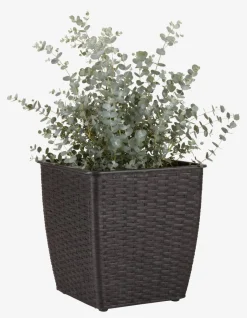 Outlet ISLOMCesto de jardín ISLOM 31x31x32 variado Maceteros