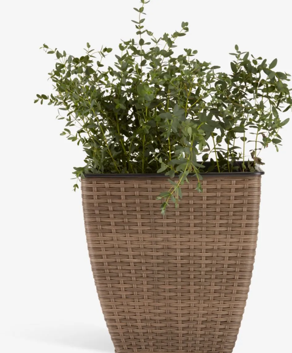 Discount ISLOMCesto de jardín ISLOM 38x38x39 variado Maceteros