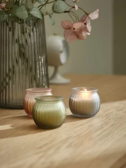 JARLEVela JARLE Ø6xA6cm con tapa variado Velas Y Servilletas|Velas Y Servilletas
