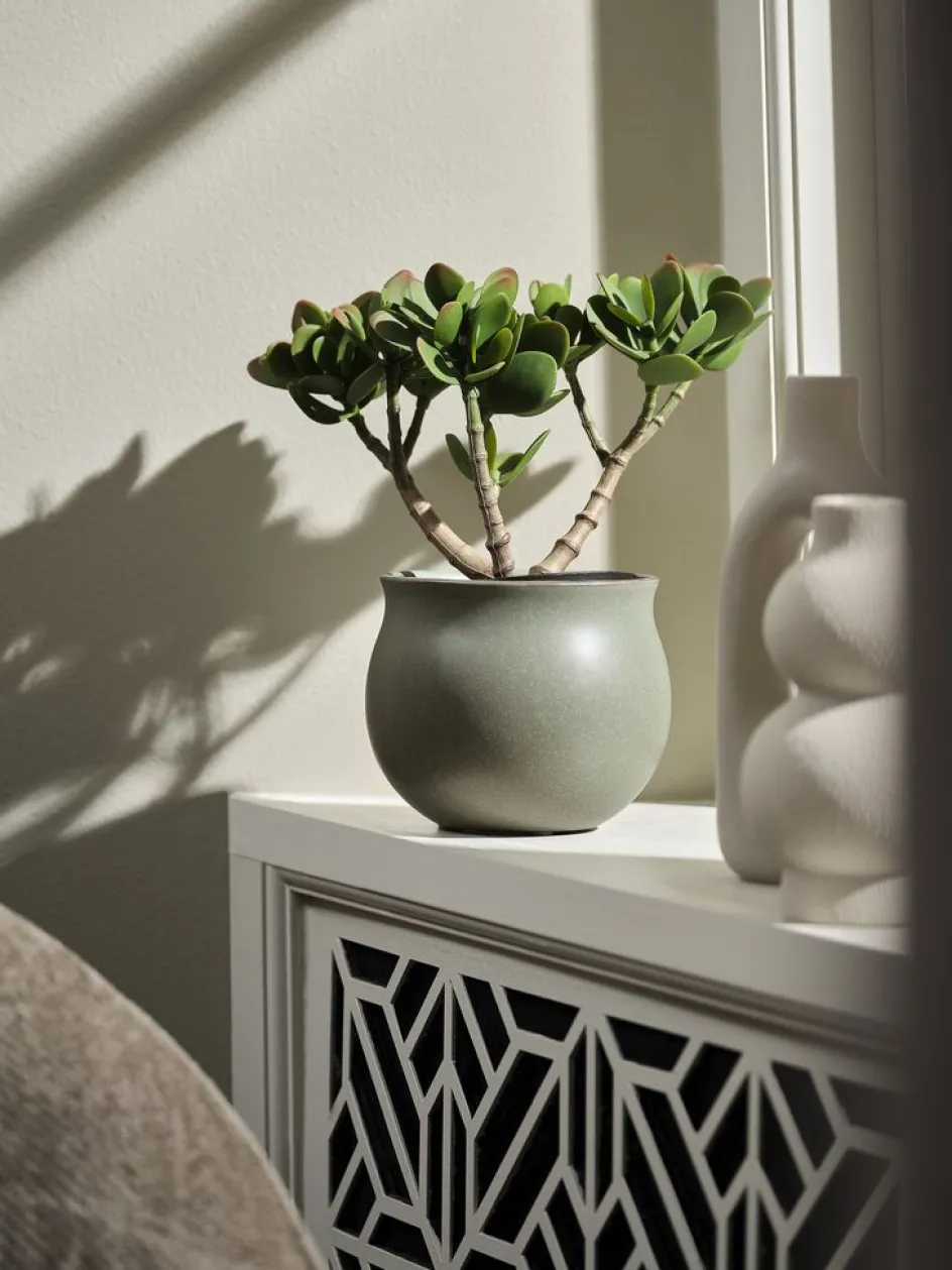 Clearance JOSTEINPlanta artificial JOSTEIN A23cm Crassula ovata Plantas Artificiales