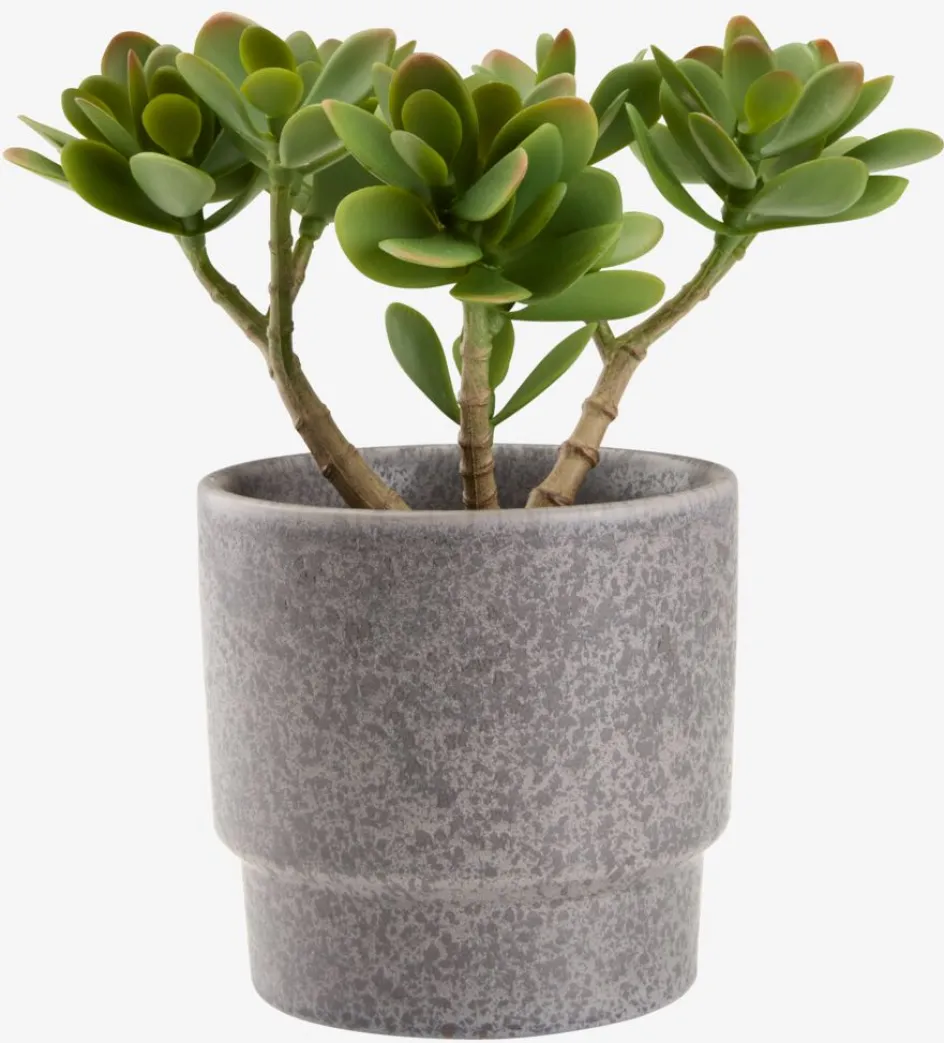 Clearance JOSTEINPlanta artificial JOSTEIN A23cm Crassula ovata Plantas Artificiales