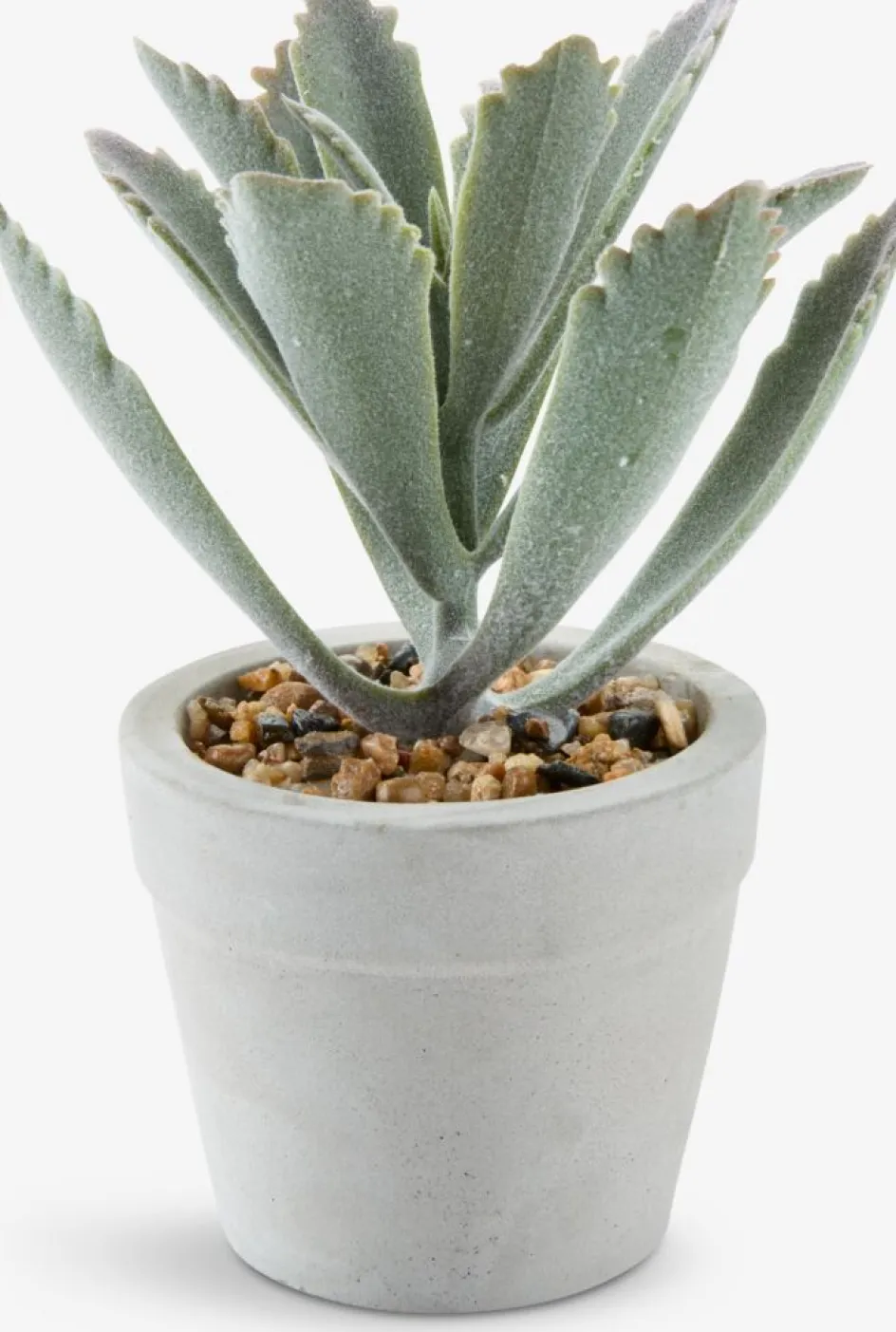 New LOVEPlanta artificial LOVE Ø7xA15 variado Plantas Artificiales