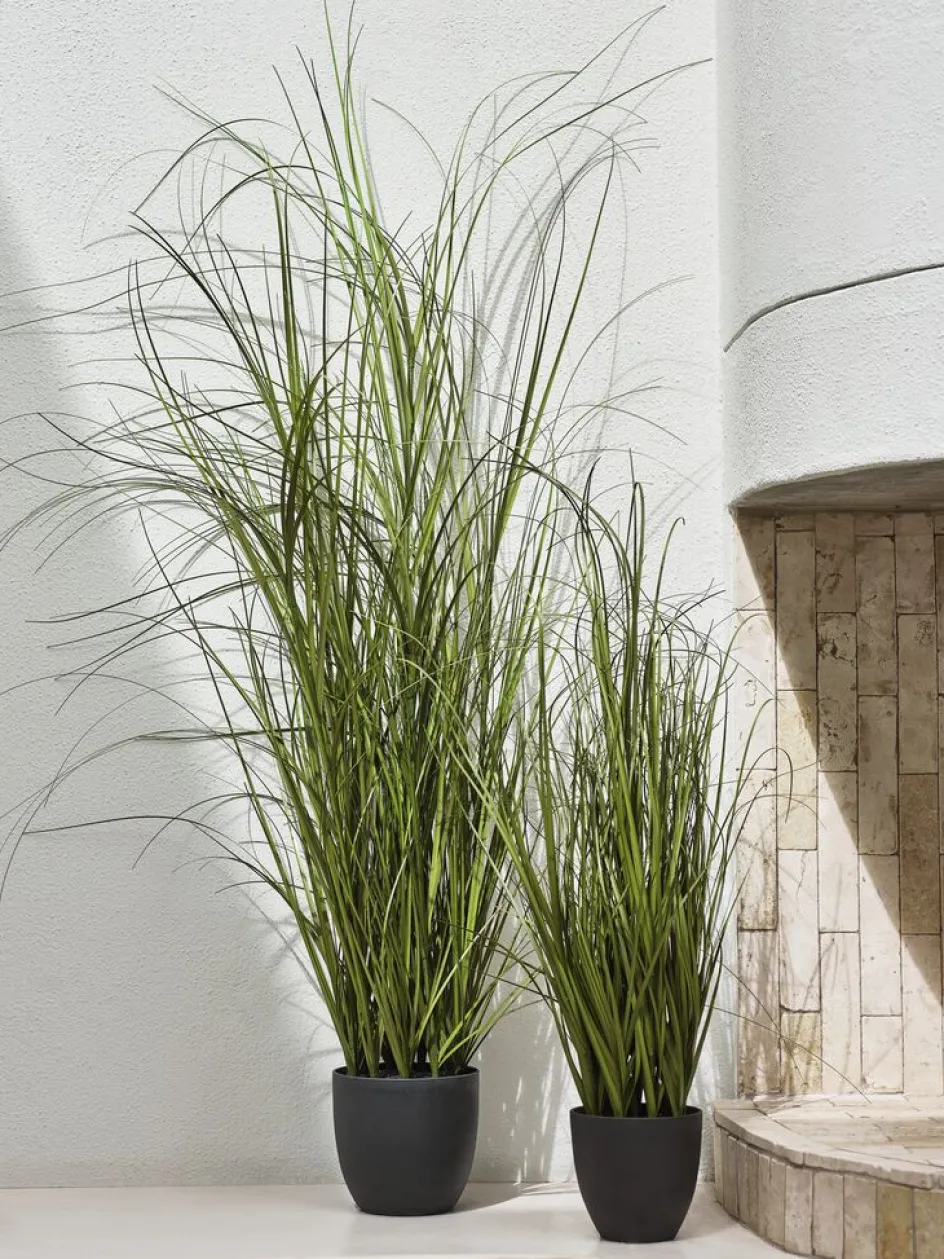 Hot MARKUSFLUEPlanta artificial MARKUSFLUE A150cm gramínea Plantas Artificiales Exterior