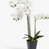 Discount MATINUSPlanta artificial MATINUS A62cm orquídea blanca Plantas Artificiales