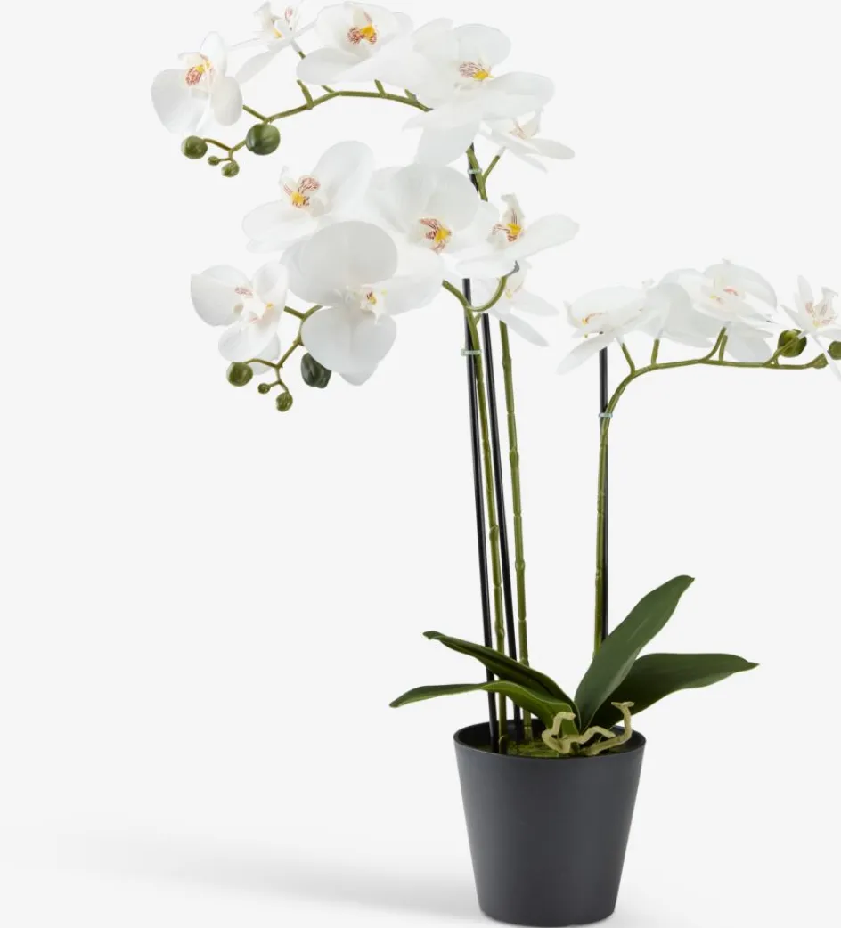 Discount MATINUSPlanta artificial MATINUS A62cm orquídea blanca Plantas Artificiales