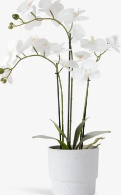 Discount MATINUSPlanta artificial MATINUS A62cm orquídea blanca Plantas Artificiales