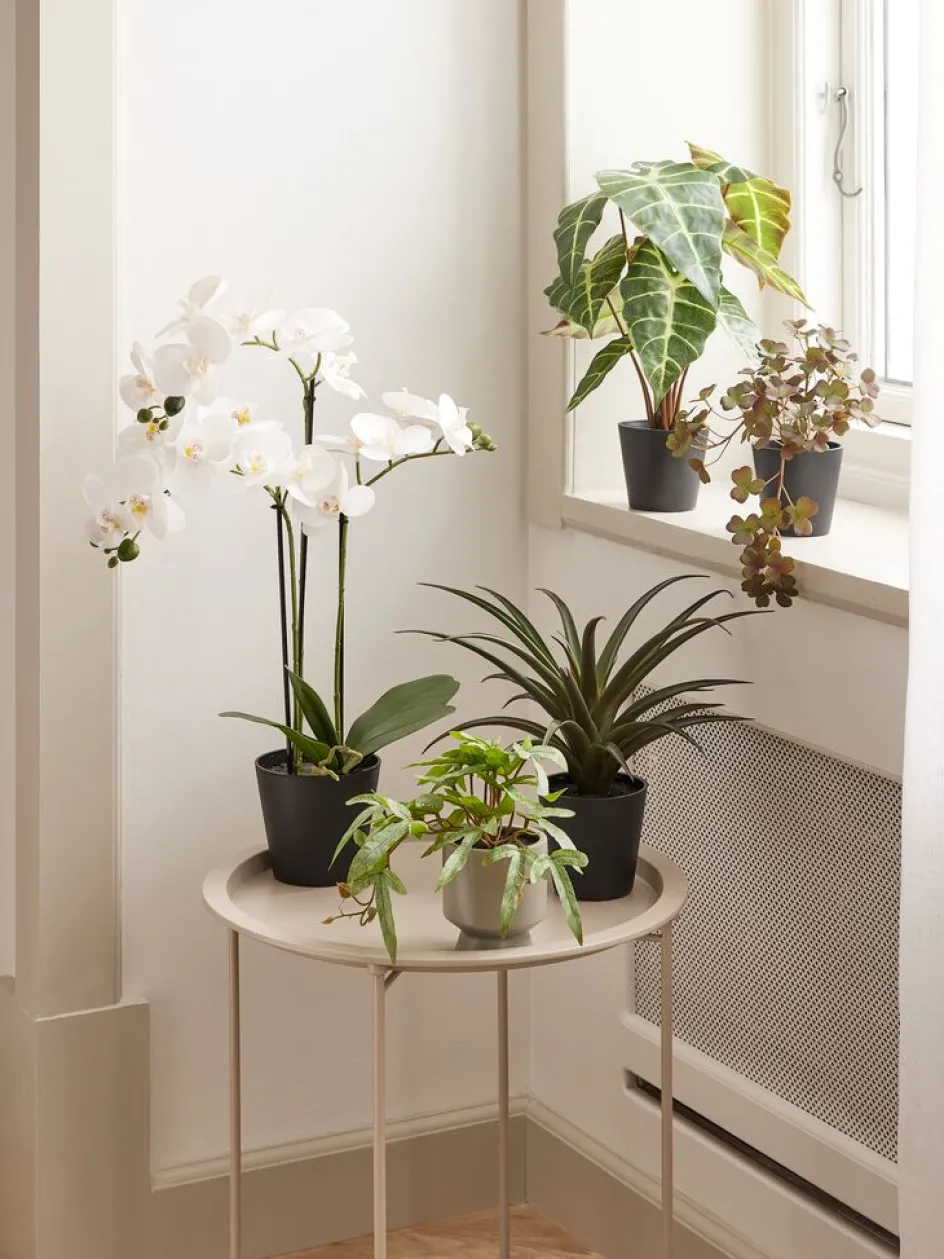 Discount MATINUSPlanta artificial MATINUS A62cm orquídea blanca Plantas Artificiales