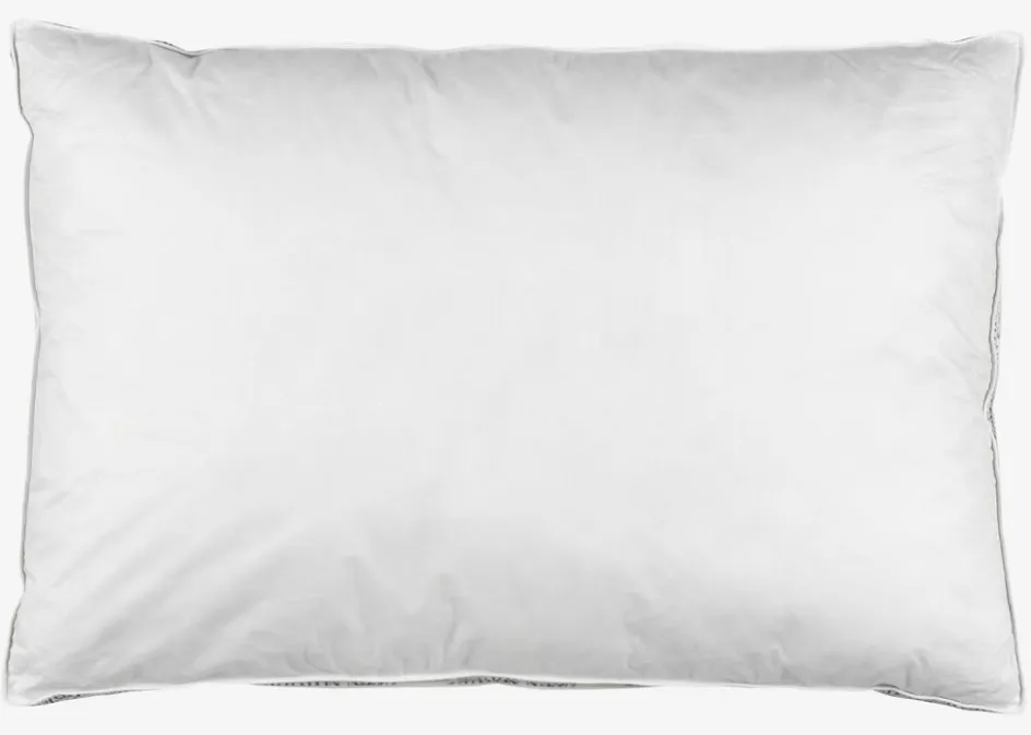 Sale NOTODDENPLUSAlmohada de plumas de pato 50x70x3 NOTODDEN Almohadas De Plumón