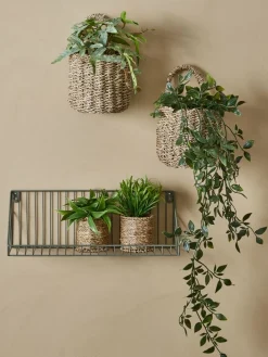 Best OLIVERPlanta artificial OLIVER L62cm colgante Plantas Artificiales