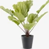 New ROLFPlanta artificial ROLF A55cm verde Plantas Artificiales