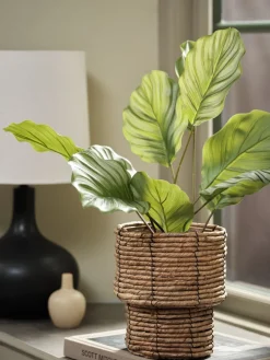 New ROLFPlanta artificial ROLF A55cm verde Plantas Artificiales