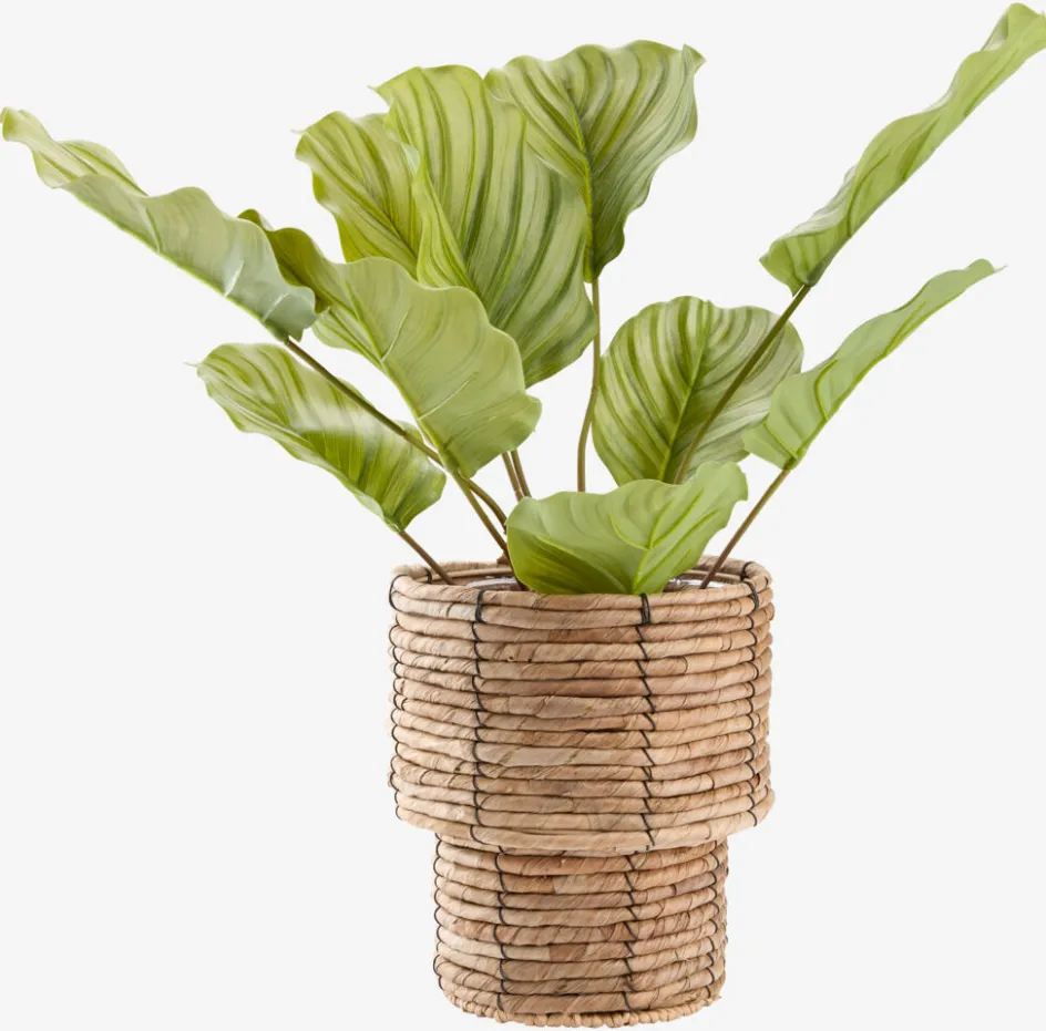 New ROLFPlanta artificial ROLF A55cm verde Plantas Artificiales