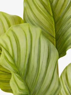 New ROLFPlanta artificial ROLF A55cm verde Plantas Artificiales