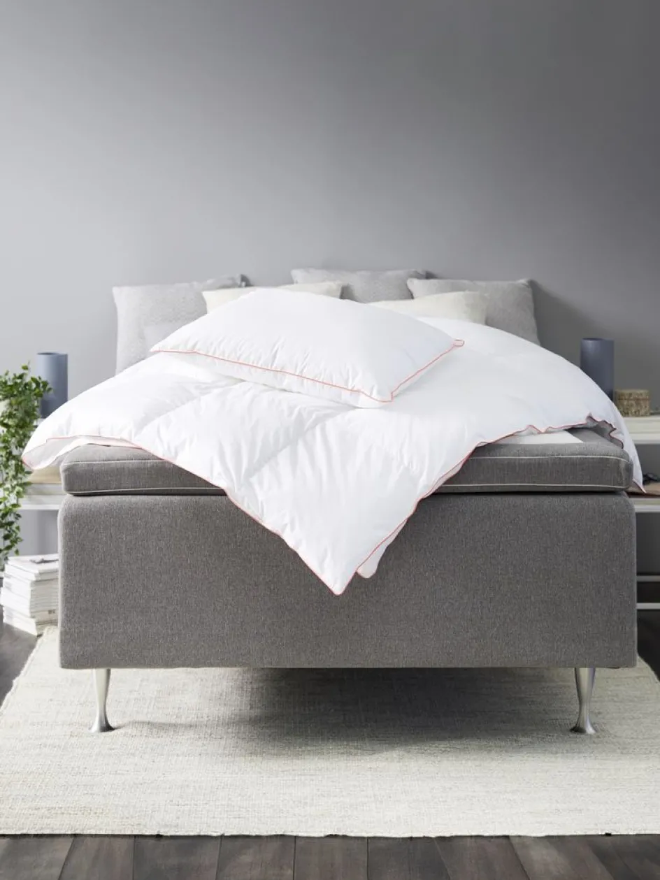 Online ROYAL NORDICGOLDAlmohada de fibra 50x70 ROYAL NORDIC Almohadas De Fibra