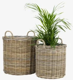 Online SANSEBIECesto de jardín SANSEBIE Ø50/40 kubu natural 2 unidades Maceteros
