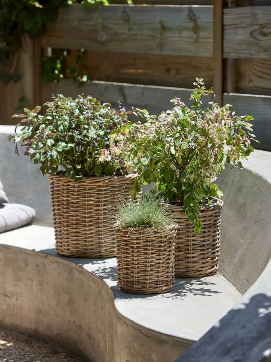 Outlet SANSEBIECesto de jardín SANSEBIE Ø40/33/25 kubu natural 3 unidades Maceteros