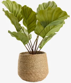 Sale SEVERINMaceta SEVERIN Ø20xA17cm natural Macetas
