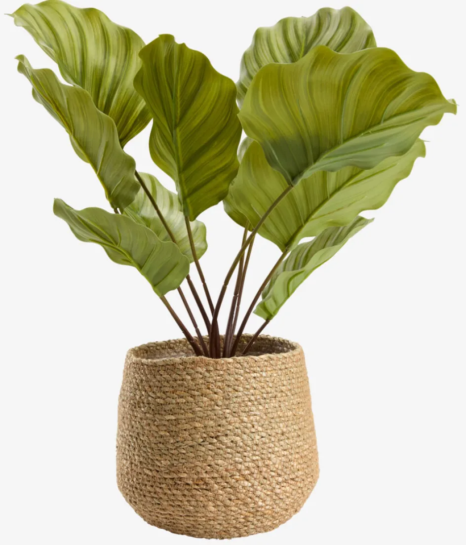 Sale SEVERINMaceta SEVERIN Ø20xA17cm natural Macetas