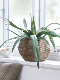 Hot SIVERTMaceta SIVERT Ø26xA23cm marrón Macetas