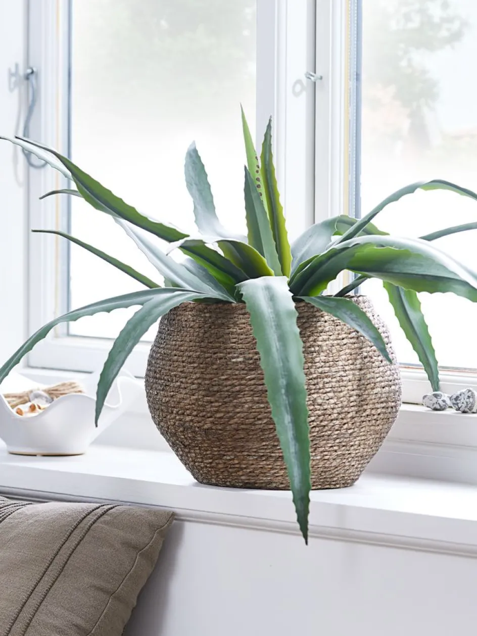 Hot SIVERTMaceta SIVERT Ø26xA23cm marrón Macetas
