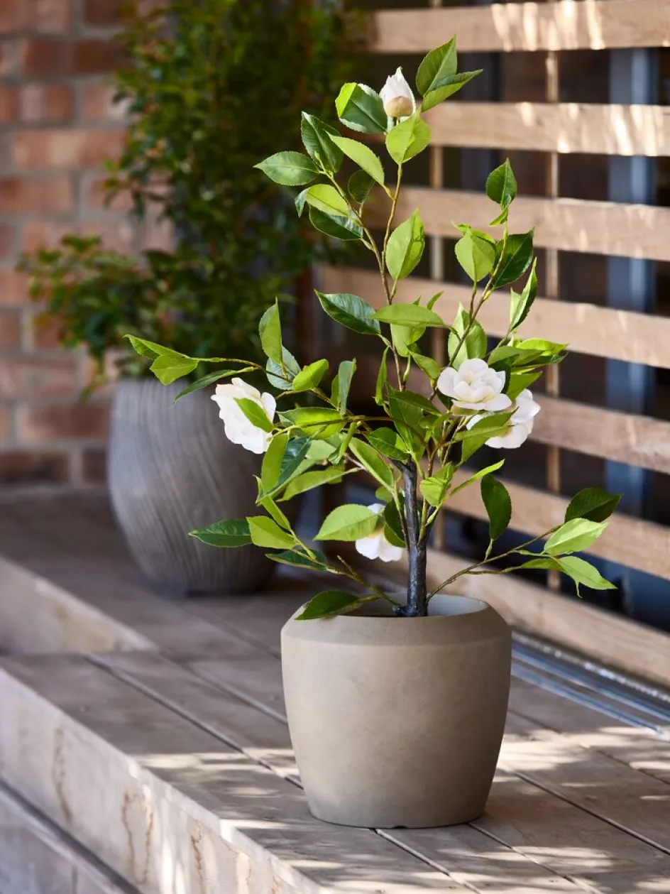 Hot SOLOPGANGPlanta artificial SOLOPGANG A80 rosal blanco Plantas Artificiales Exterior